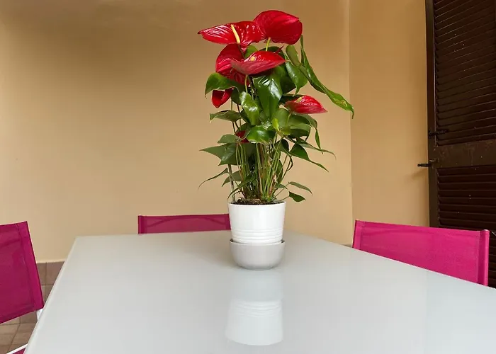 Flowers In Apartamento