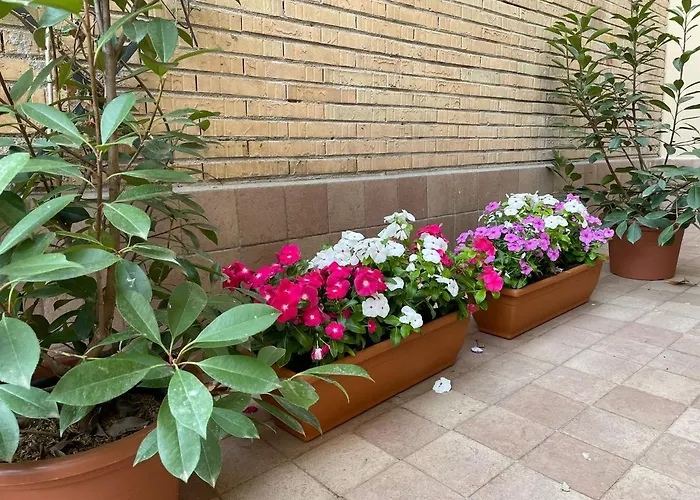 Flowers In Roma